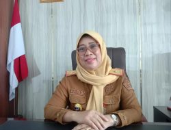 Pemkot Kendari Sediakan Bursa Kerja Dengan Kuota 300 Loker